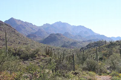 Dripping Springs Mine Trail