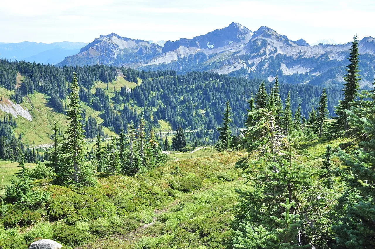 Skyline Trail Loop — photo 5