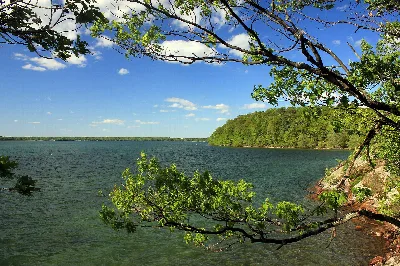 Wellesley Island State Park