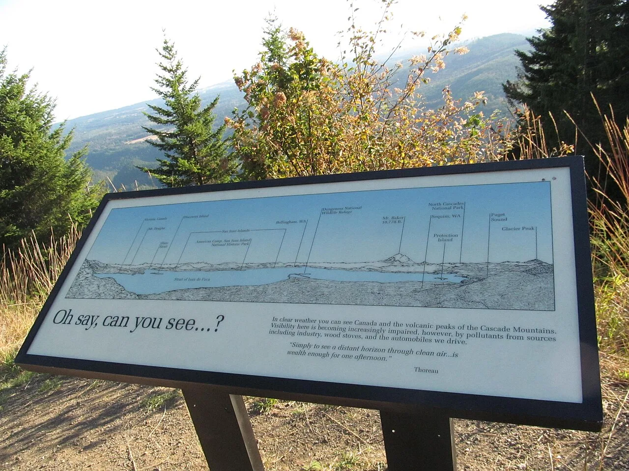 Hurricane Ridge Trails — photo 4