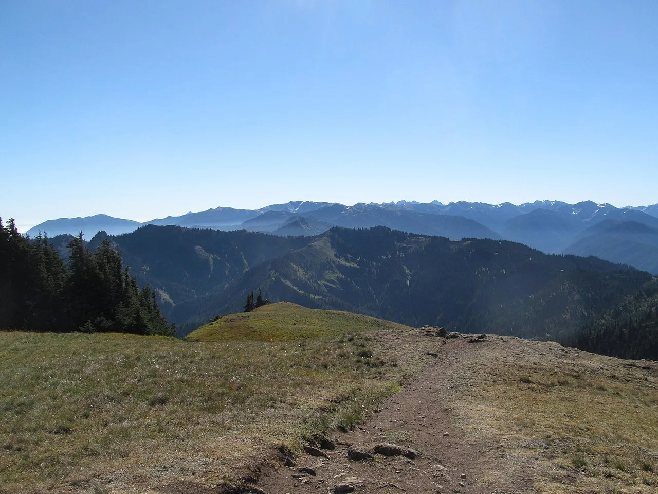 Hurricane Ridge Trails — photo 5