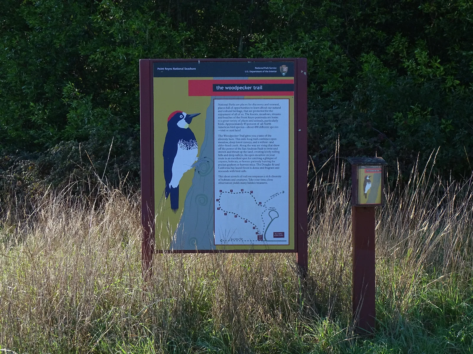 A yellow, black, and red colored trailhead sign featuring a cartoon of an acorn woodpecker.