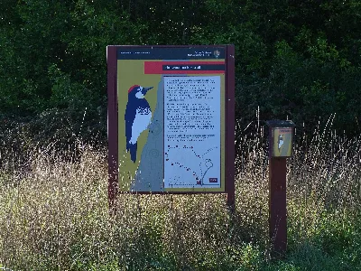 Woodpecker Trail