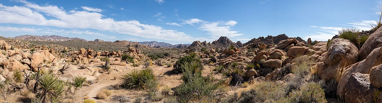 Ryan Mountain Trail — photo 3