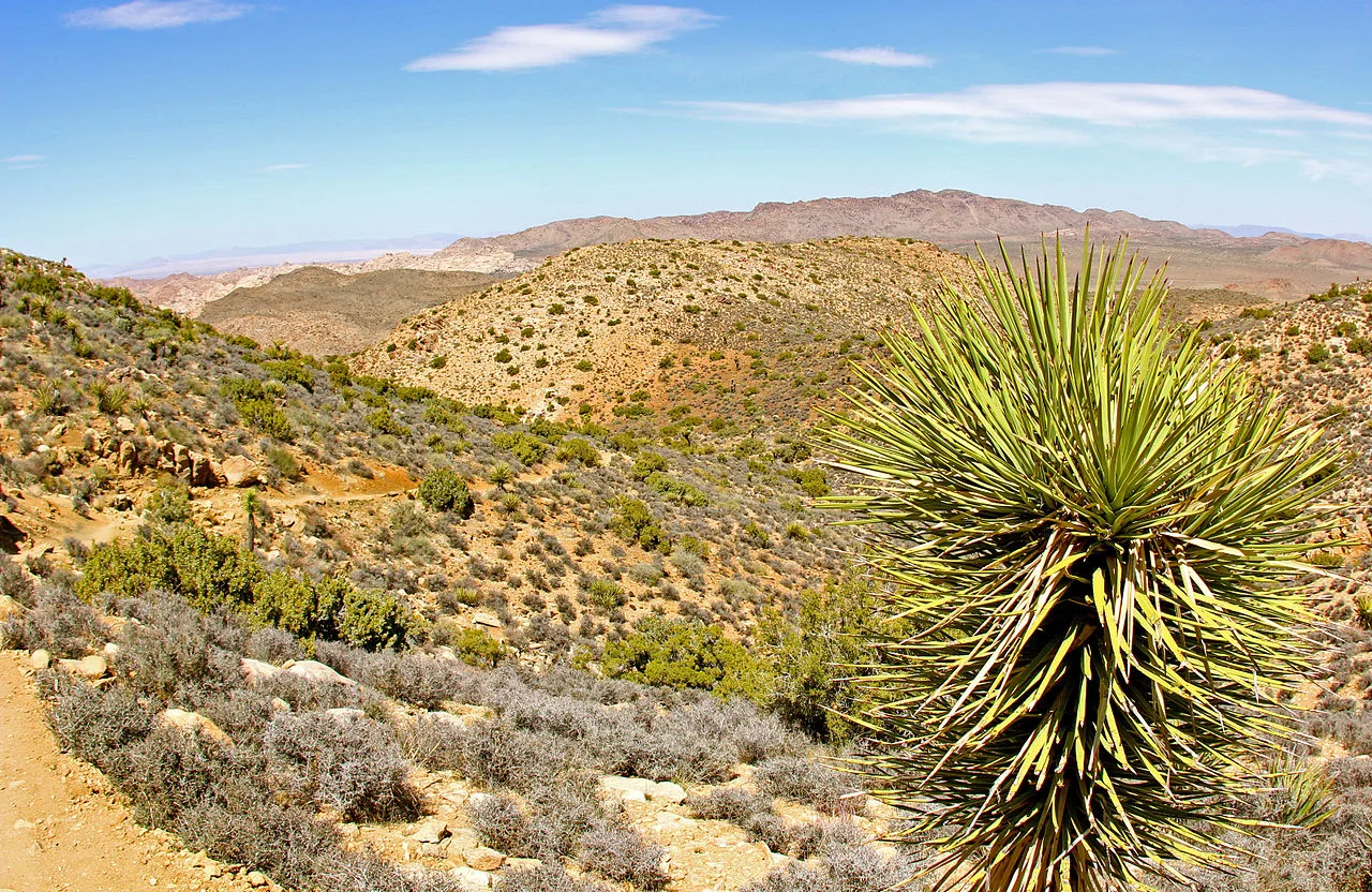 Ryan Mountain Trail — photo 2