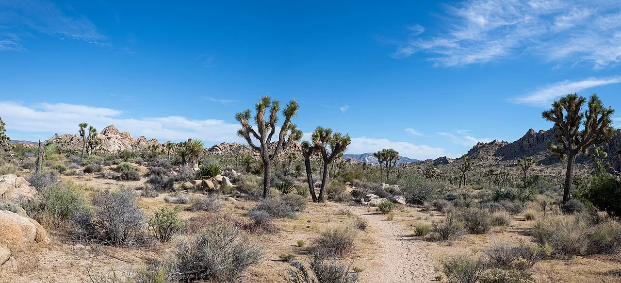Ryan Mountain Trail — photo 5