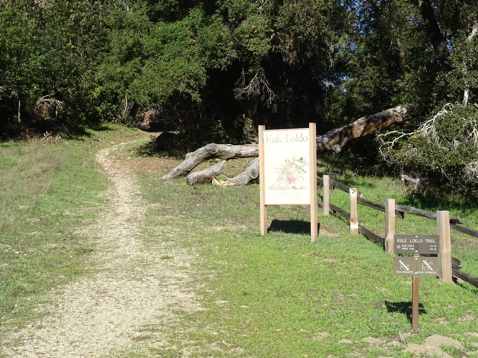 A dirt path paralleling a split rail fence leads past the Kule Loklo Trailhead sign into the woods.