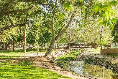 Kit Carson Park