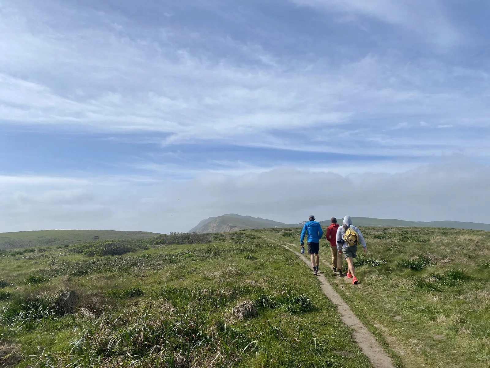 Three hikers on a dirt, single track trail through lush green grass.