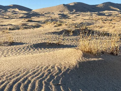 Kelso Dunes Trail
