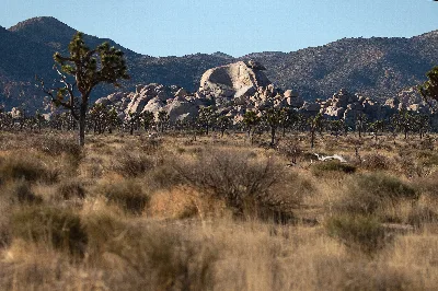 Cap Rock Nature