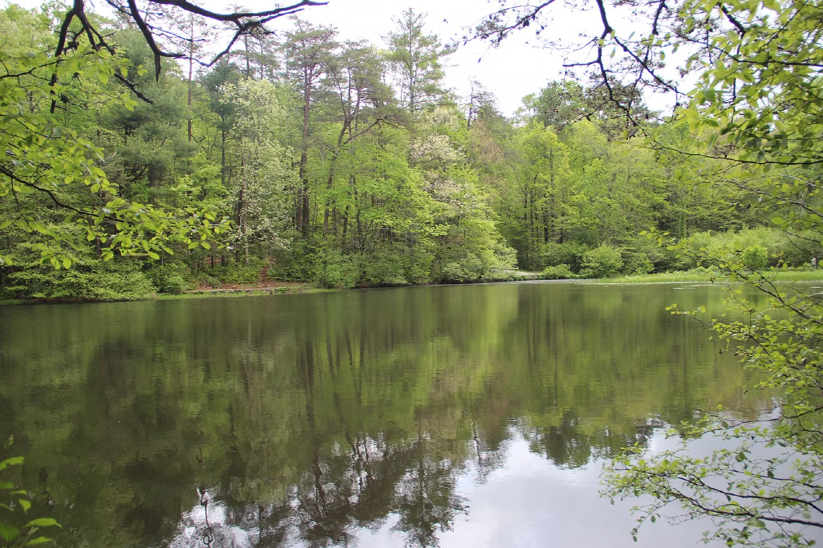Dockery Lake Trail