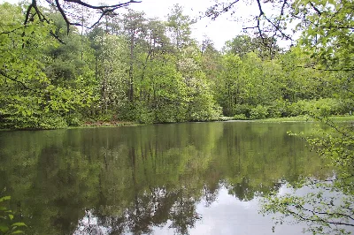 Dockery Lake Trail
