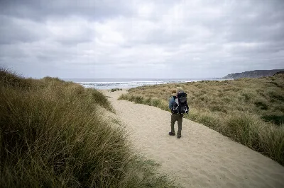 Kehoe Beach Trail