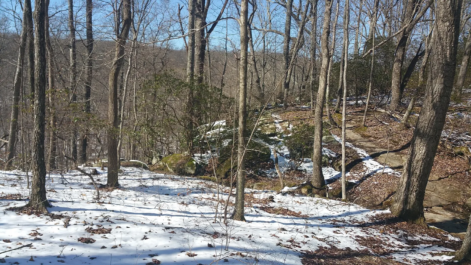 Sewanee Perimeter Trail