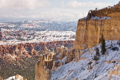 Rim Trail