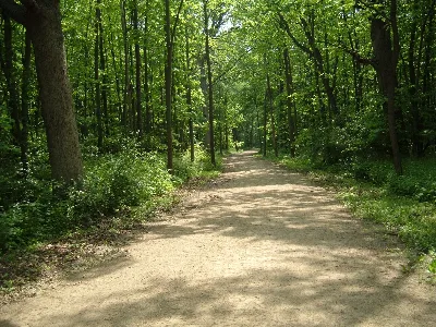 Des Plaines River Trail