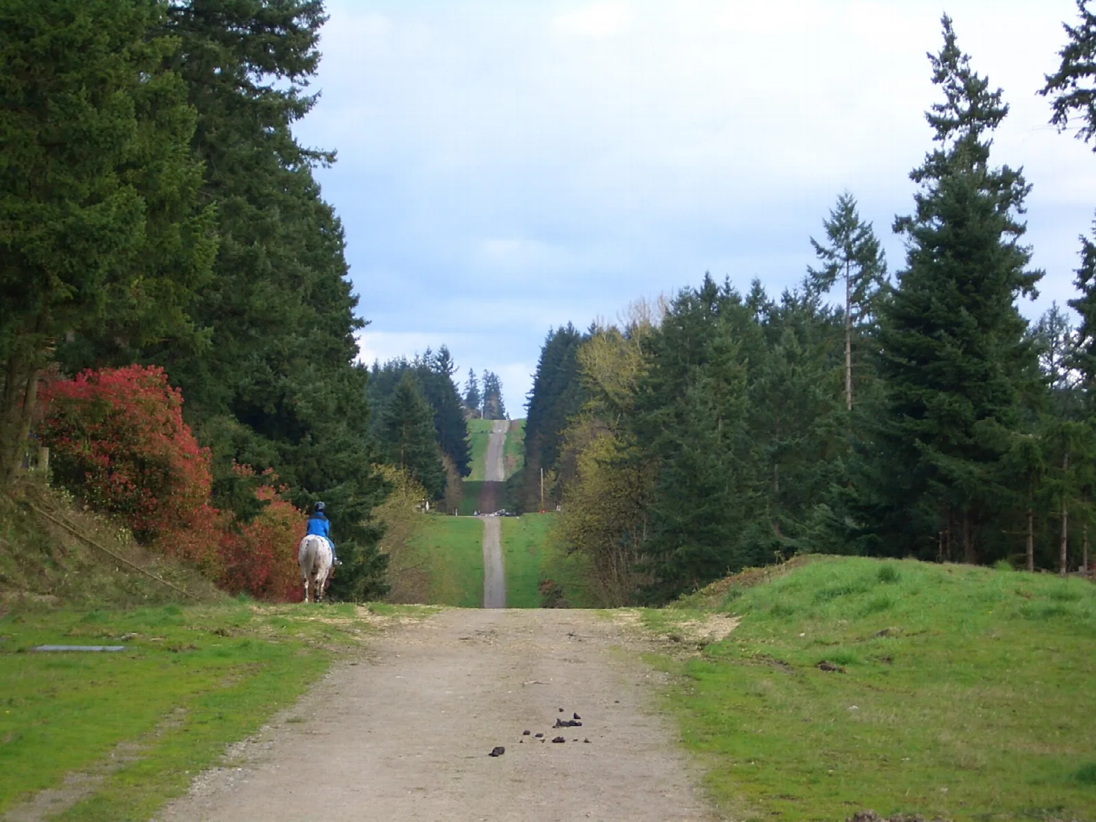 Tolt Pipeline Trail