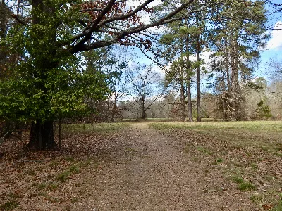 Cornfield Mound Trail