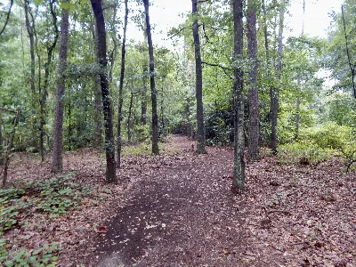 McDougal Trail