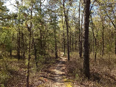 Batona Trail