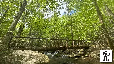 West Prong Trail