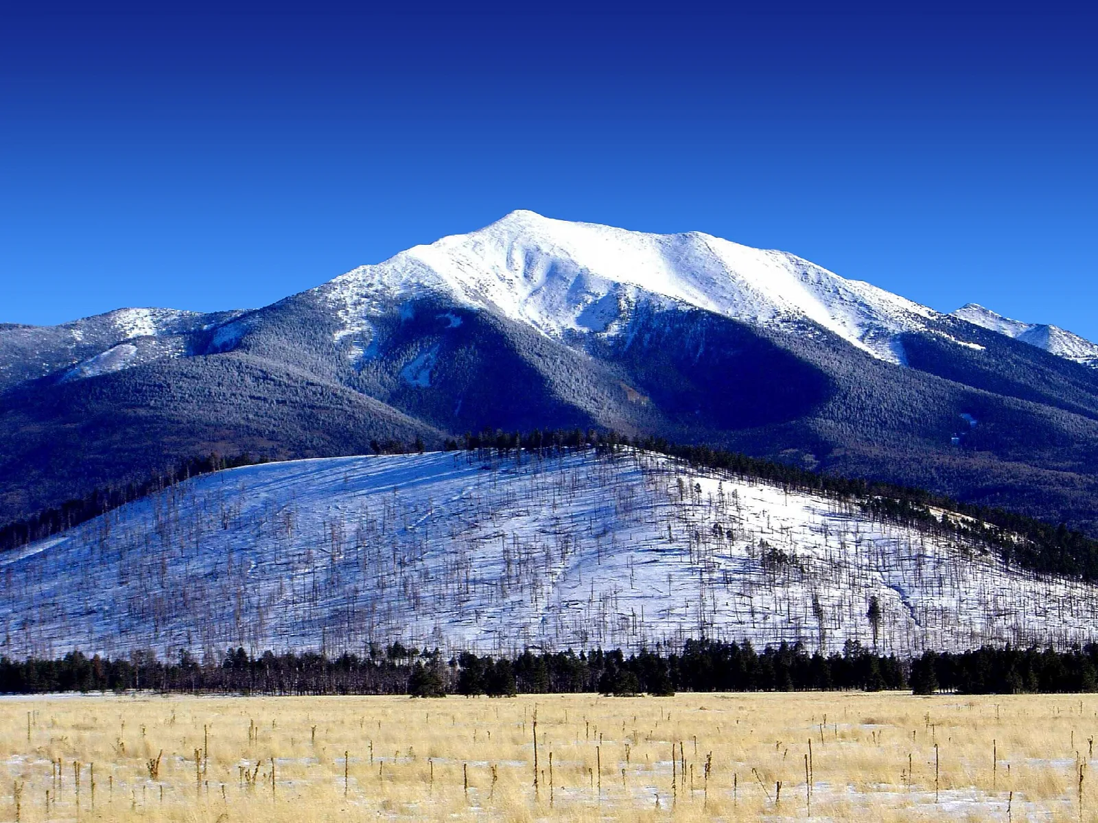 Humphrey's Peak