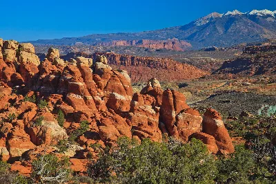 Fiery Furnace