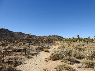 Teutonia Peak Trail