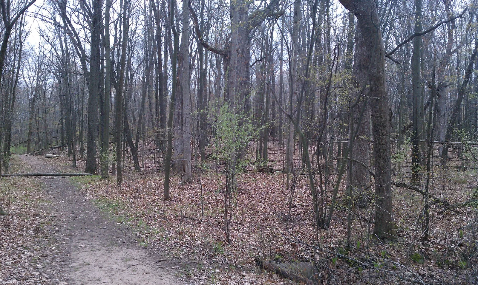 Waterloo-Pinckney Trail