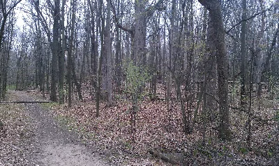 Waterloo-Pinckney Trail