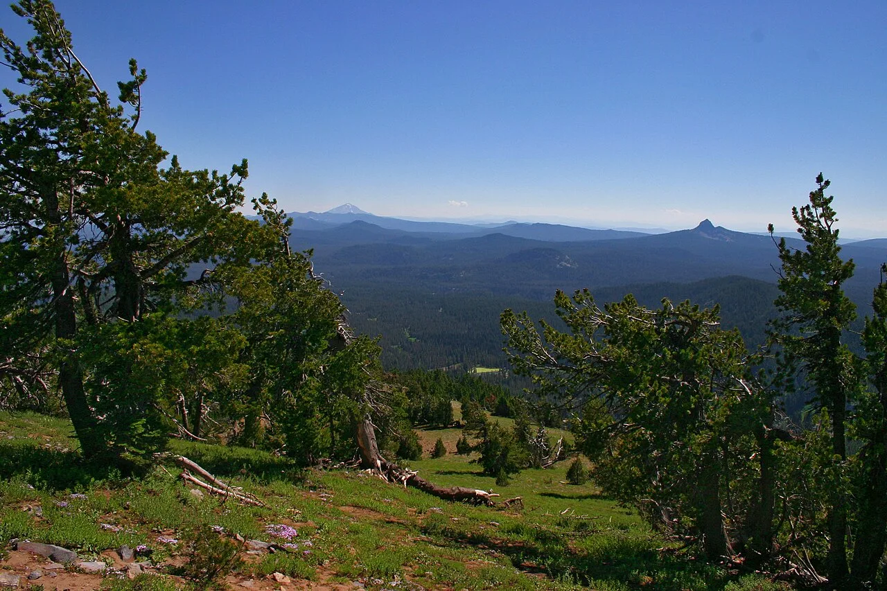 Garfield Peak Trail — photo 4
