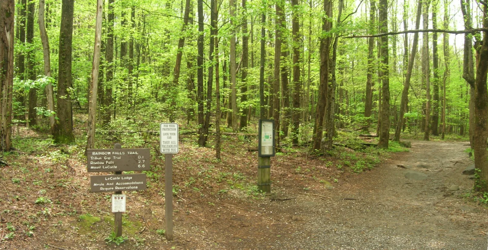 Rainbow Falls Trail