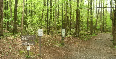 Rainbow Falls Trail
