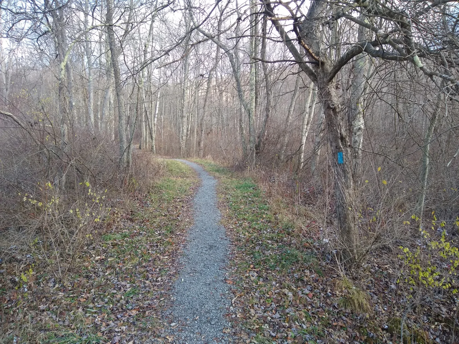 Glacier Ridge Trail