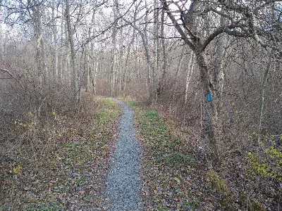 Glacier Ridge Trail
