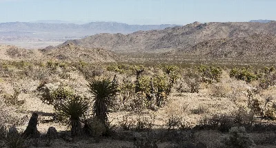 Contact Mine Trail