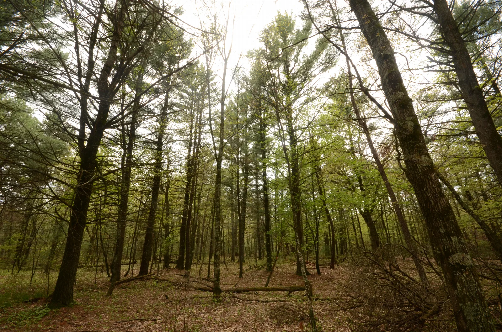 Mecan River — WI