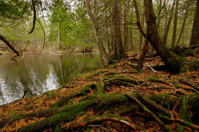 Little Wolf River