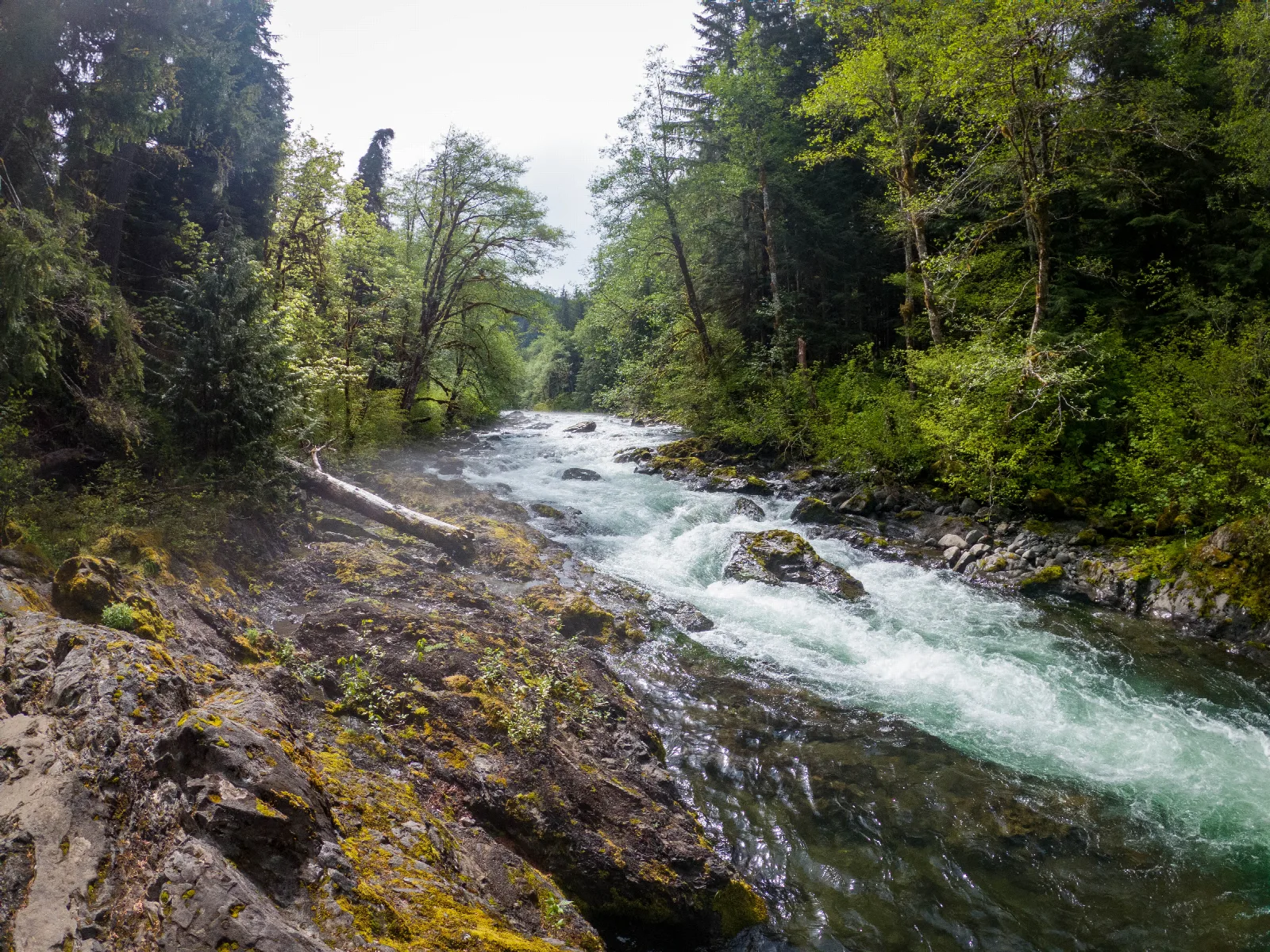 Sol Duc River — WA