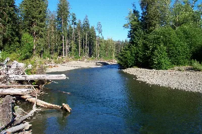 Bogachiel River