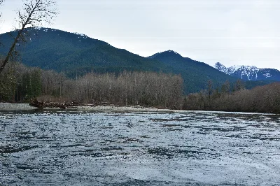 Skagit River