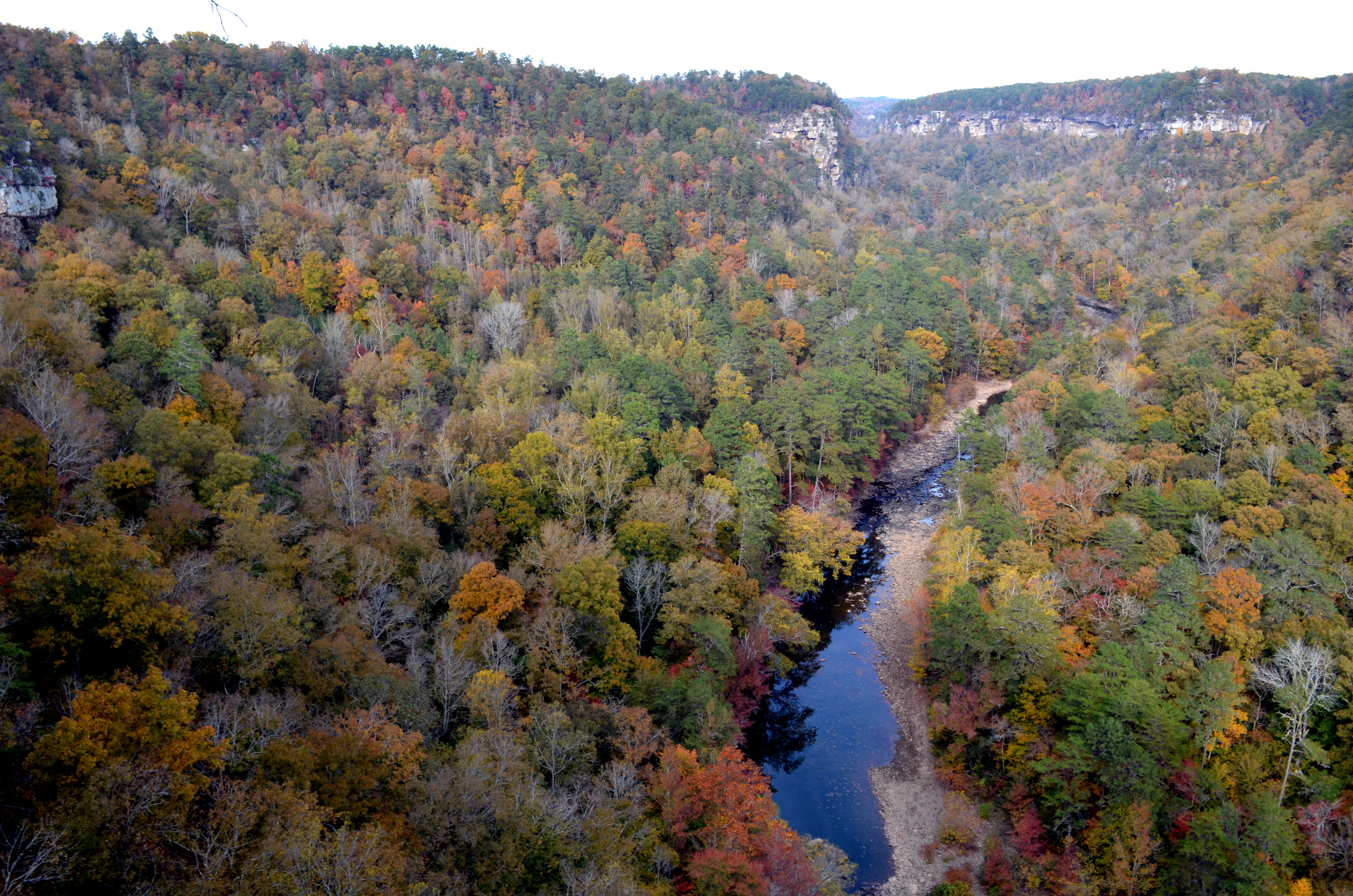Alabama landscape