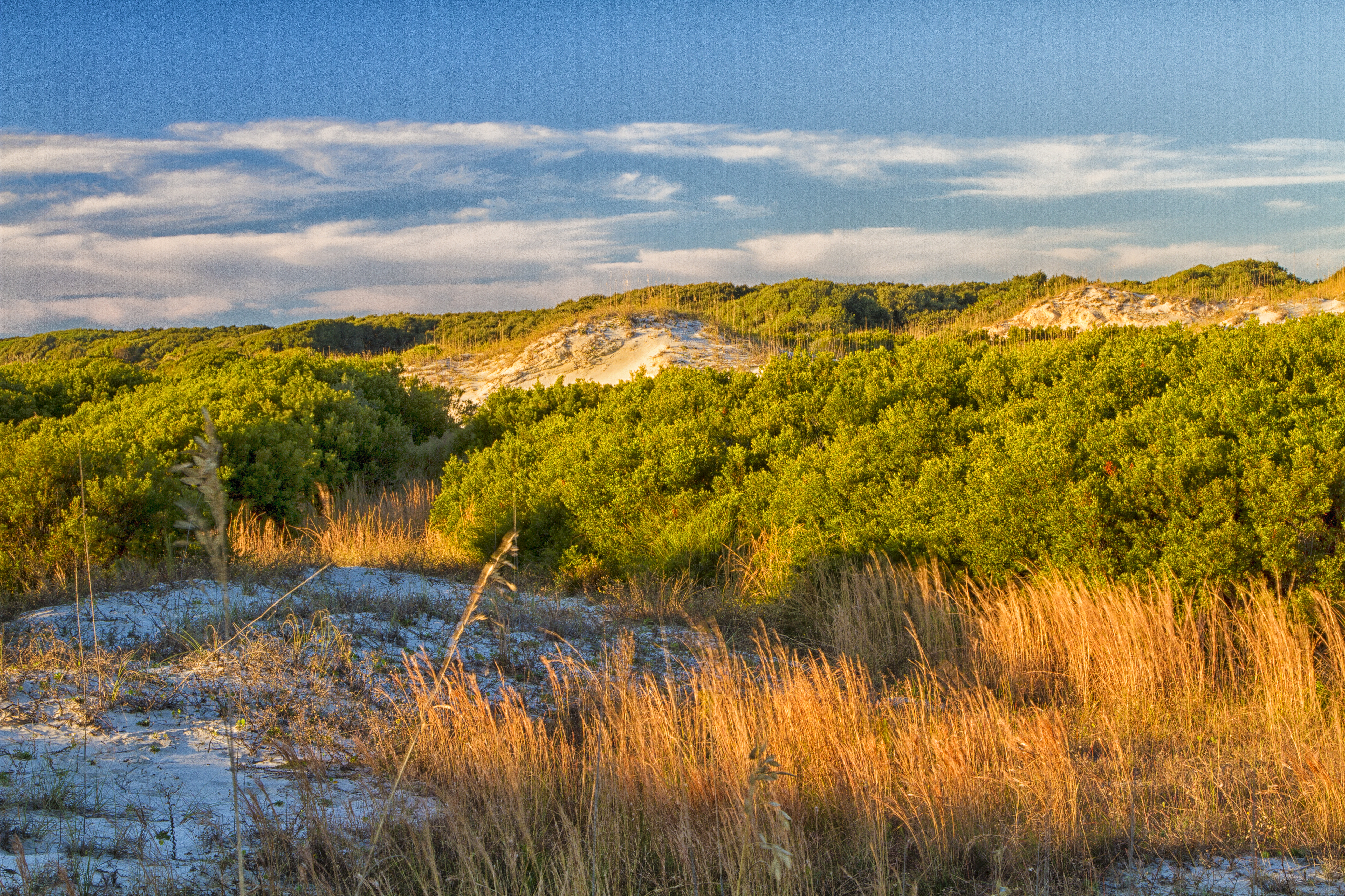 Georgia landscape