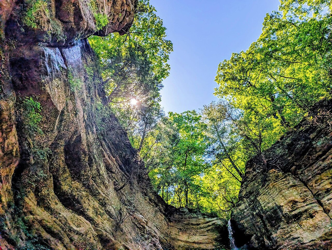 Illinois landscape