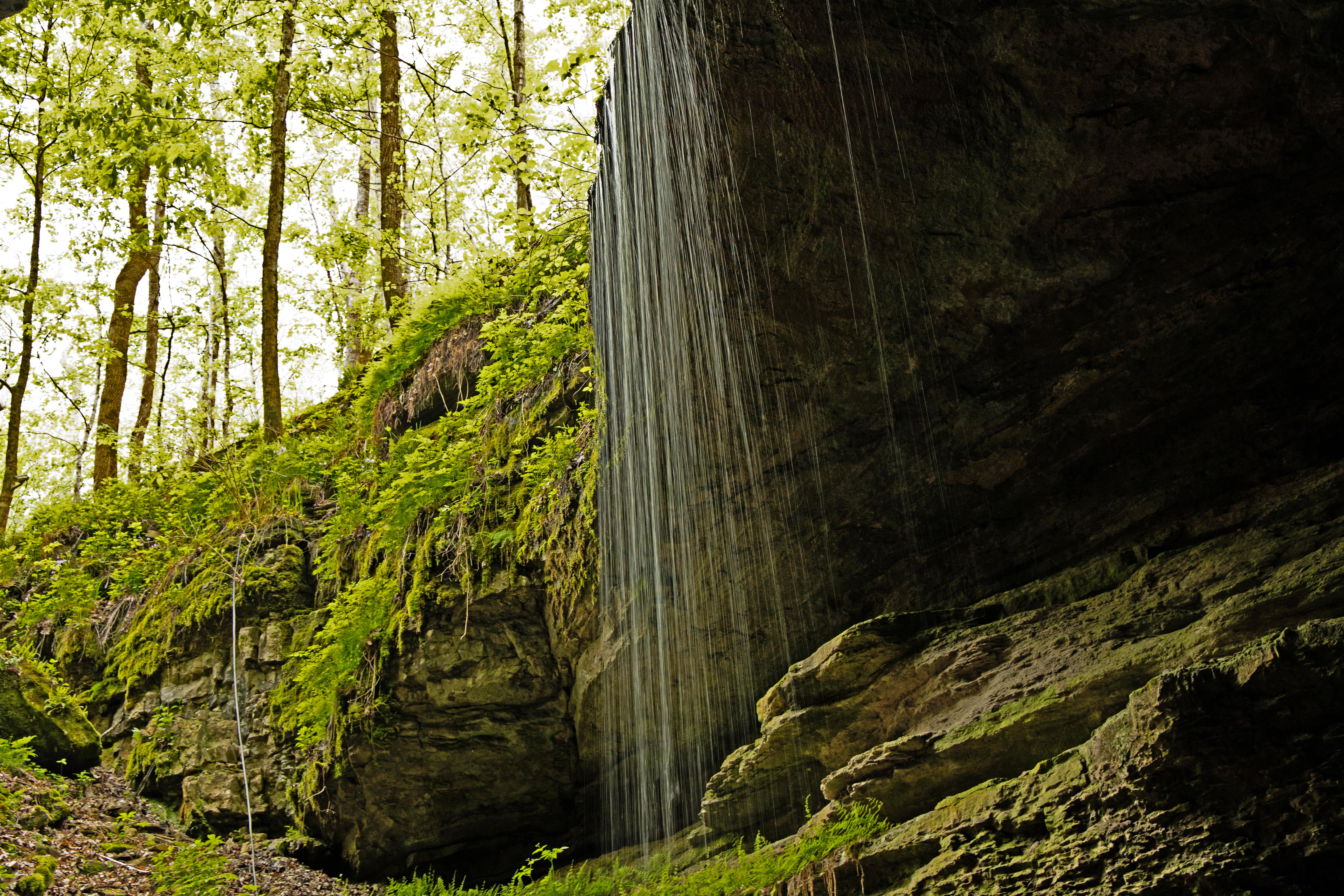 Kentucky landscape