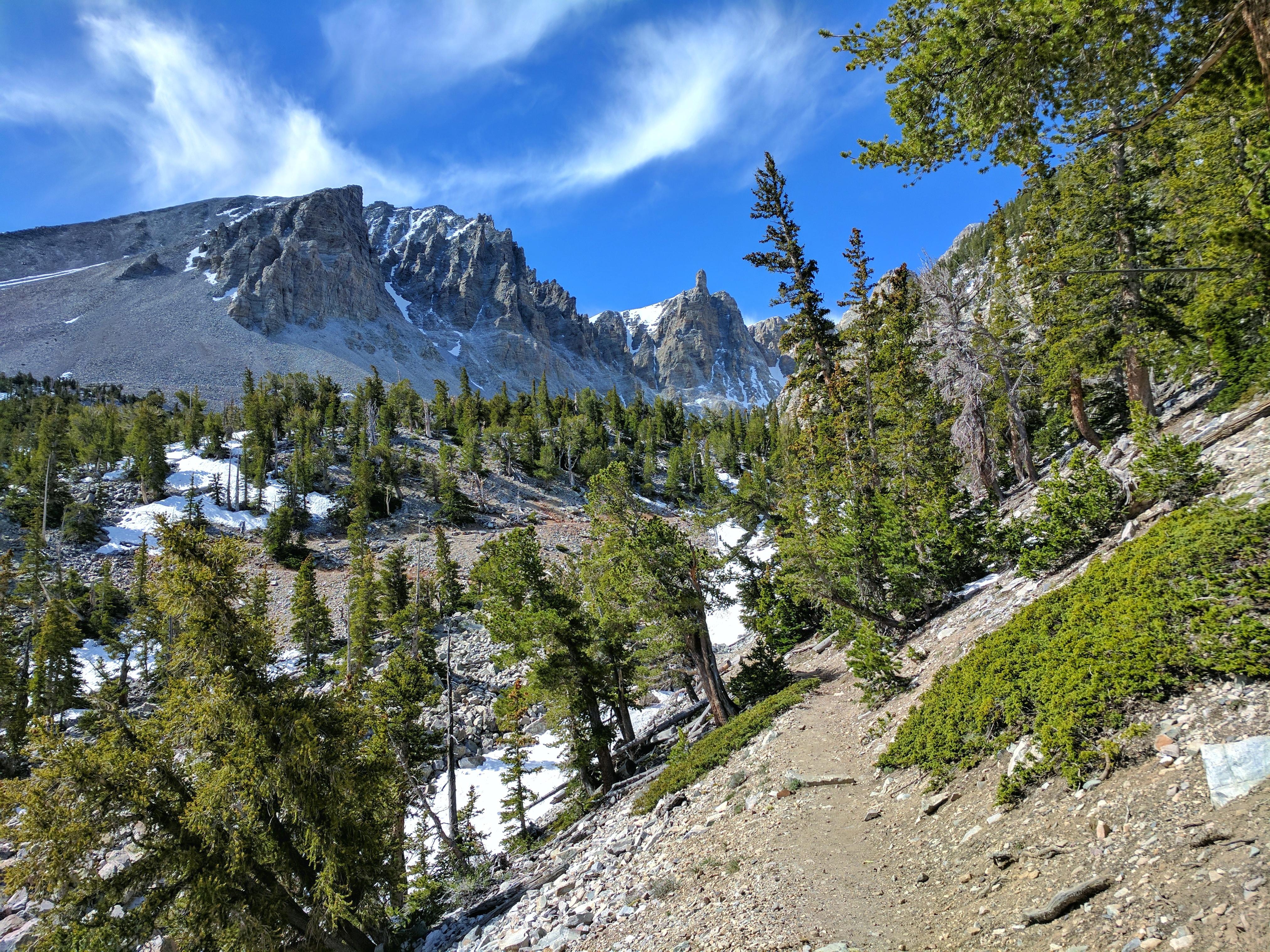 Nevada landscape