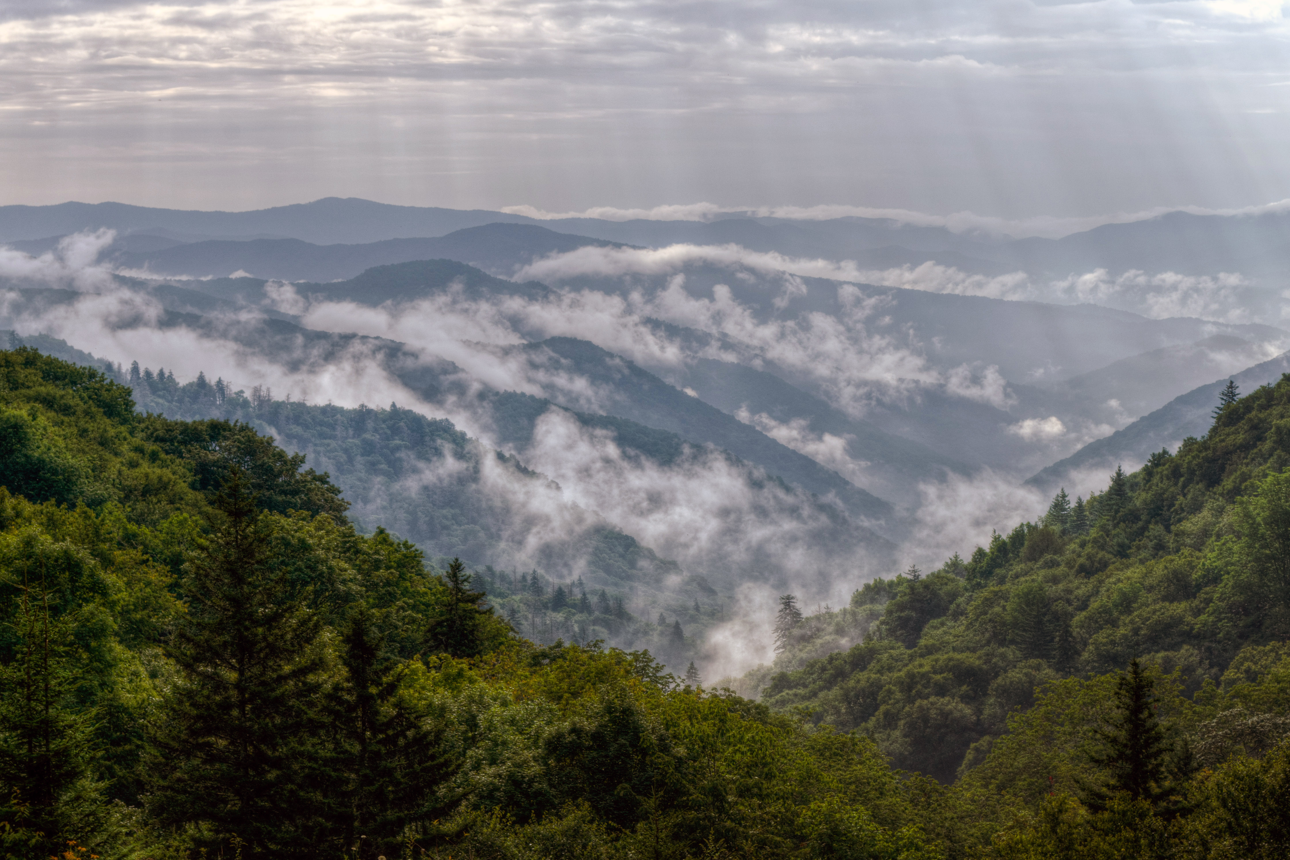 North Carolina landscape