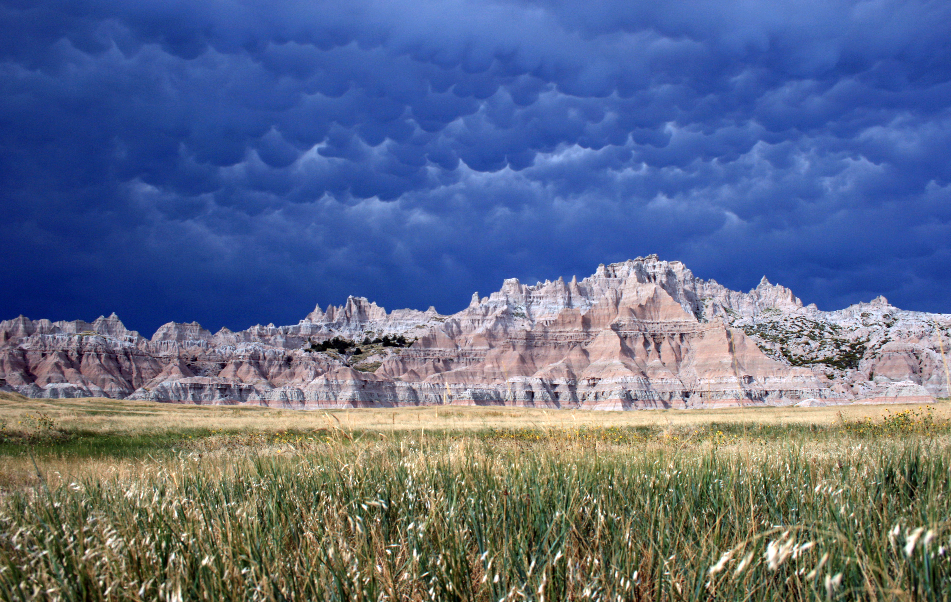 South Dakota landscape