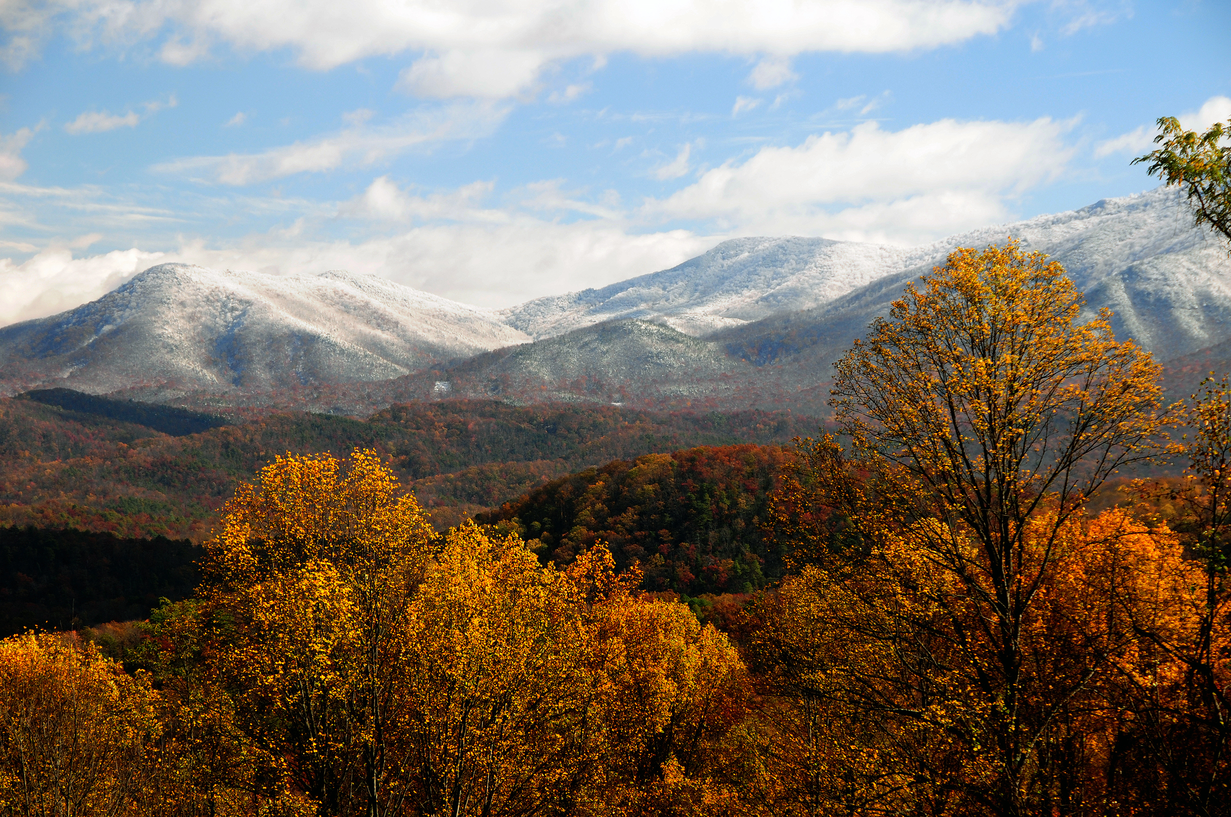 Tennessee landscape